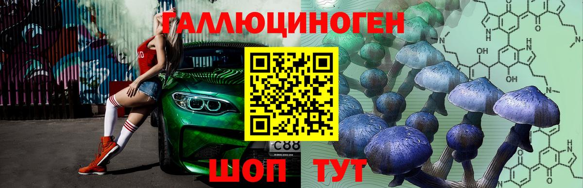 Барабинск  Псилоцибиновые грибы GOLDEN TEACHER  Галлюциногенные грибы MAGIC MUSHROOMS  Вход с VPN 